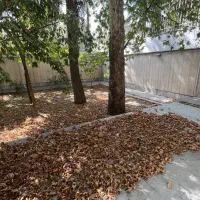 نیاوران/۶۰۰متر/ویلایی/کامرانیه شمالی/حیاط مشجر|اجارهٔ خانه و ویلا|تهران, کامرانیه|دیوار