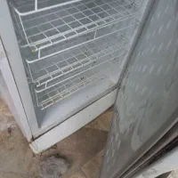 یخچال  فریزر  سالم|یخچال و فریزر|نوکنده, |دیوار