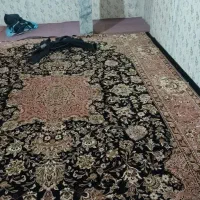 فروش مغازه تجاری و مسکونی در کوی سعیدیه|فروش مغازه و غرفه|زنجان, |دیوار