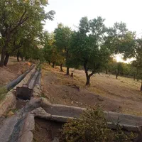 زمین باغ فروشی|فروش دفتر صنعتی، کشاورزی، تجاری|پاریز, |دیوار