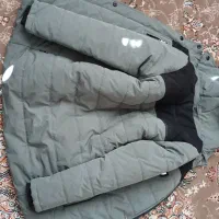 کاپشن زمستانی|لباس|سنندج, |دیوار