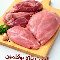 گوشت تازه بوقلمون