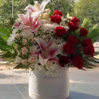 باکس گل، فروش فوری