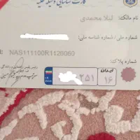 گم شده