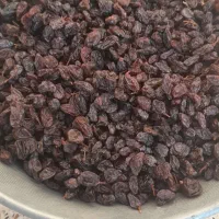 ۸ کلیو مویز کیلو۱۹۰ هزار|خوردنی و آشامیدنی|صحنه, |دیوار