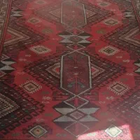 فرش قدیمی|فرش|قزوین, |دیوار