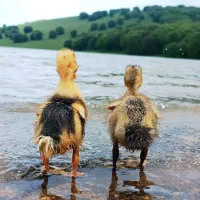 تور قلعه رودخان مخصوص بانوان
