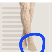 ساپورت نونو