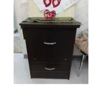 مجسمه زرافه