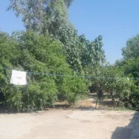 خونه ویلایی بزرگ در روستای توران فارس