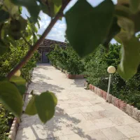 اجاره ویلا و باغ کوتاه مدت