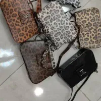 کیف پلنگی ۲۵۰