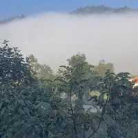 ویلاجنگلی  در دل طبعیت|اجارهٔ خانه و ویلا|ماسال, |دیوار