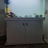 آکواریوم ۱ متر در ۸۰ در ۴۰