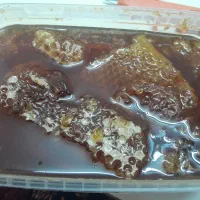عسل سنندج