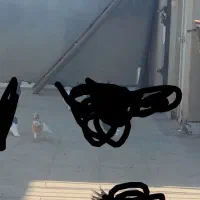 کبوتر کله دم زرد