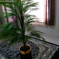 درختچه مصنوعی