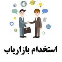 بازاریاب ، ویزیتور