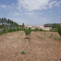 زمین سند دار در بیلوردی