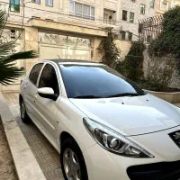 207 پانا مدل 1404|خودرو سواری و وانت|گلستان (تهران), |دیوار