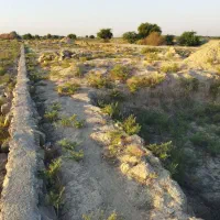 فروش زمین ۱۰۰۰ متری جاده شوشتر اهواز|فروش زمین و ملک کلنگی|اهواز, اهواز|دیوار