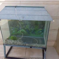 آکواریوم شیشه ده میل