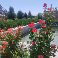 باغ ویلا|فروش خانه و ویلا|ابهر, |دیوار