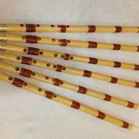 نی هفتبنددندانی ونی لبی|سازهای بادی|شیراز, زند|دیوار