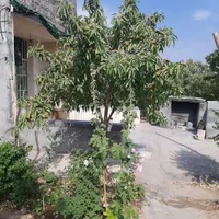 فروش باغ بادام در طرح کشت و صنعت چم حیدر|فروش زمین و ملک کلنگی|اصفهان, درب کوشک|دیوار