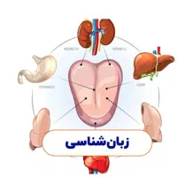درآمد در منزل