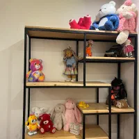 ویترین چوبی آهنی|کتابخانه، شلف، قفسه‌های دیواری|کرج, فاز ۴ مهرشهر|دیوار