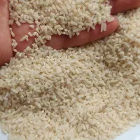 برنج نیم دانه