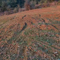 زمین کشاورزی دیم در دامنه کوه|فروش زمین و ملک کلنگی|خان ببین, |دیوار