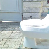 بهداشتی