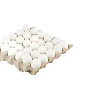 پخش عمده تخم مرغ بدون واسطه