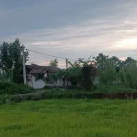 فروش زمین مسکونی اقساطی پشت لاکانشهر رشت|فروش زمین و ملک کلنگی|رشت, لاکان شهر|دیوار