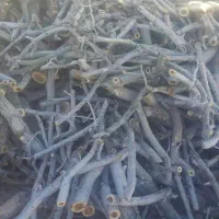 خریدار چوب