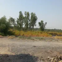 معاوضه-زمین