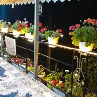 ویلا و سوئیت جنگلی