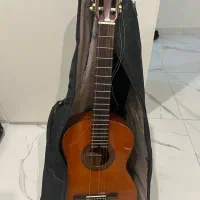 گیتار اریا