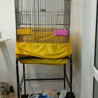 قفس طوطی با وسایل و تخمه