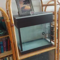 اکواریوم|ماهی|تهران, ورزشگاه آزادی|دیوار