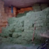 یونجه خشک