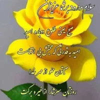 نیازمند به یه نظافت چی در منزل