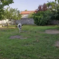 ۵۰۰ متر زمین سند کاربری مسکونی رشت جنب تالار گویا