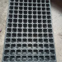 سینی نشا برای بذر