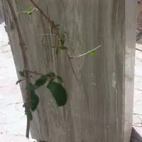 یخچال کلویناتور قدیمی امریکایی