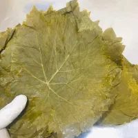 برگ مو ورق عنب کیلویی