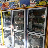 یخچال ایستاده ۶در