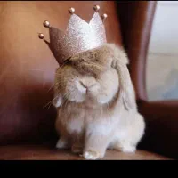 پایگاه پخش خرگوش مینی‌یاتوریو مینی‌لوپ‌‌ واکسن زده